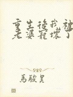 重生后我被影后老婆宠坏了