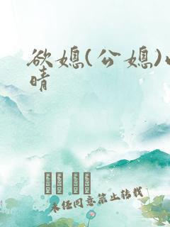 欲媳(公媳)雨晴