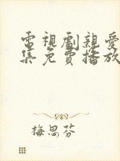 电视剧亲爱的全集免费播放高清