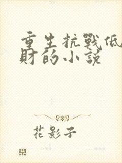 重生抗战低调发财的小说