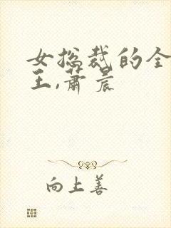 女总裁的全能兵王,萧晨