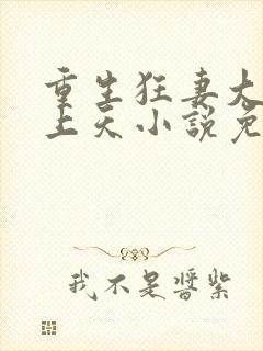 重生狂妻大佬宠上天小说免费听书