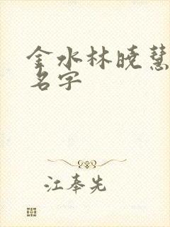 金水林晓慧小说名字