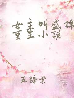 女主叫盛锦初的重生小说