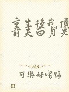 重生后我顶替了前夫白月光有声版