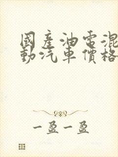 国产油电混动电动汽车价格