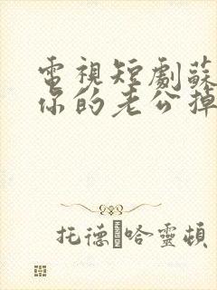 电视短剧苏小姐你的老公掉了