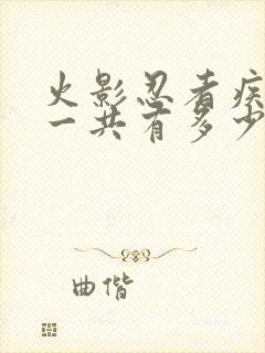 火影忍者疾风传一共有多少集