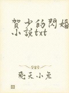 贺少的闪婚暖妻小说txt