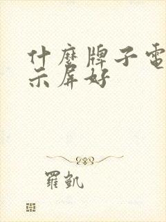 什么牌子电脑显示屏好