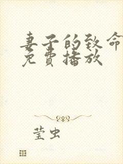 妻子的致命谎言免费播放