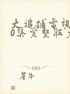 大追捕电视剧20集完整版免费