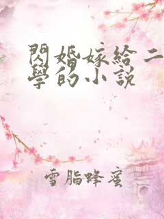 闪婚嫁给二婚同学的小说