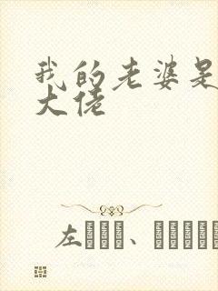 我的老婆是重生大佬