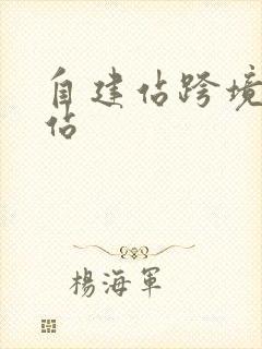 自建站跨境独立站