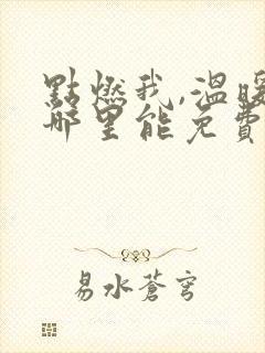 点燃我,温暖你哪里能免费看全集