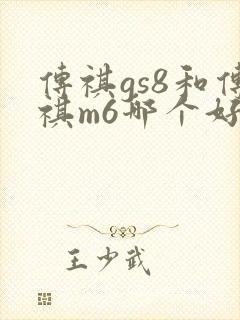 传祺gs8和传祺m6哪个好