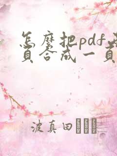 怎么把pdf两页合成一页