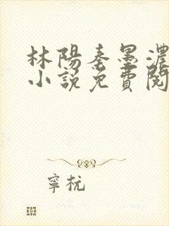 林阳秦墨浓正版小说免费阅读