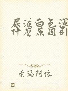 尿液白色浑浊是什么原因引起的