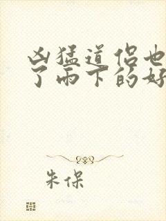 凶猛道侣也重生了雨下的好大小说