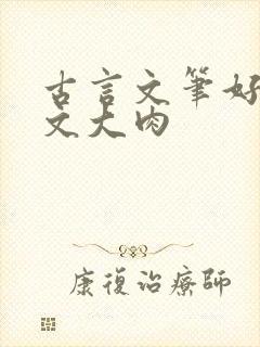 古言文笔好的宠文大肉