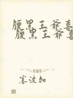 腹黑王爷喜当爹 腹黑王爷喜当爹