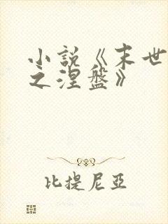 小说《末世重生之涅盘》