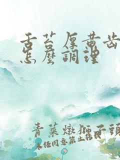 舌苔厚黄齿痕是怎么调理