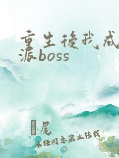 重生后我成了反派boss