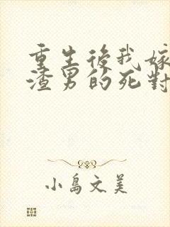 重生后我嫁给了渣男的死对头叶景淮