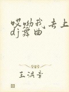 哎呦我去上头了dj舞曲