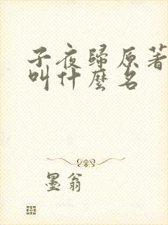 子夜归原著小说叫什么名