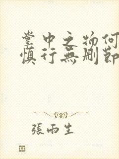 掌中之物何妍傅慎行无删节