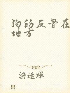 狗的反骨在什么地方