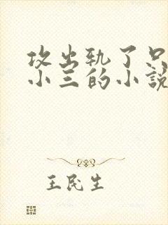 攻出轨了只爱男小三的小说