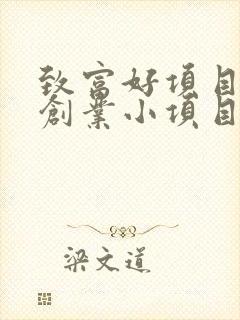 致富好项目农村创业小项目