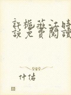 许栀薇江时宴小说免费阅读最新章节