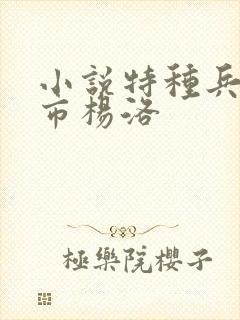 小说特种兵在都市杨洛