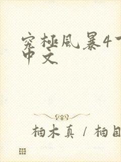 究极风暴4下载中文