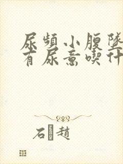 尿频小腹坠胀总有尿意吃什么药