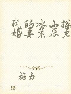 我的冰山总裁未婚妻叶辰免费阅读