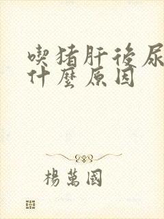 吃猪肝后尿黄是什么原因