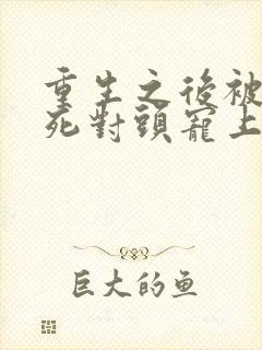 重生之后被渣男死对头宠上天短剧