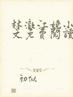 林澈江娆小说全文免费阅读