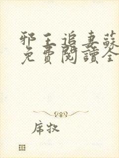 邪王追妻苏小暖免费阅读全文