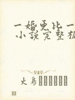 一婚更比一婚高 小说完整板