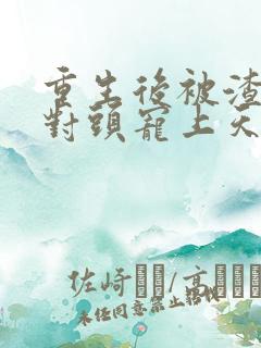 重生后被渣男死对头宠上天无弹窗