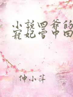 小说四爷的心尖宠妃雪中回眸