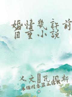 婚情几许前夫请自重小说